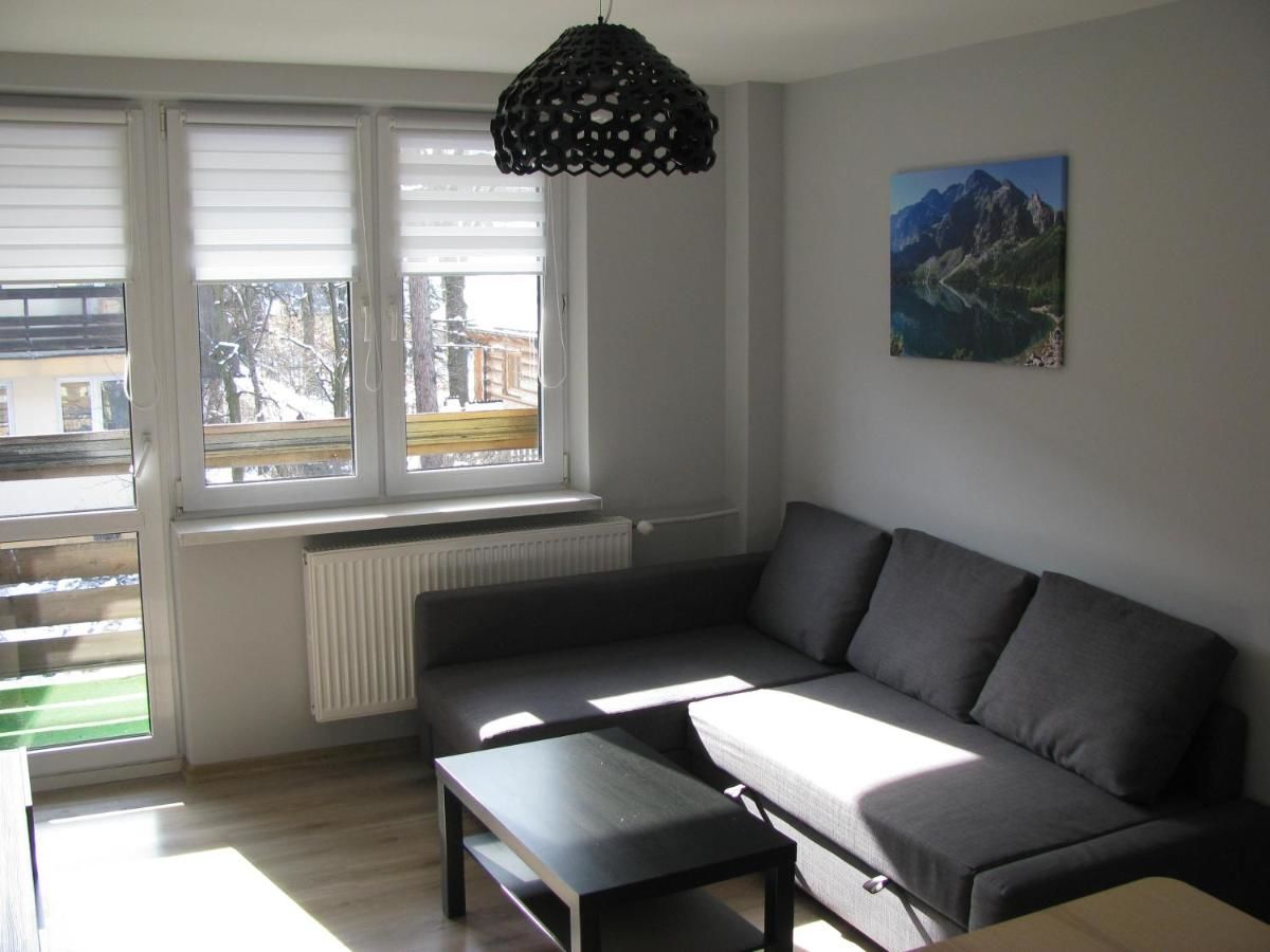 Апартаменты Apartament Zakopane Закопане-4