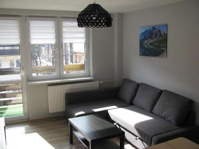 Апартаменты Apartament Zakopane Закопане-17